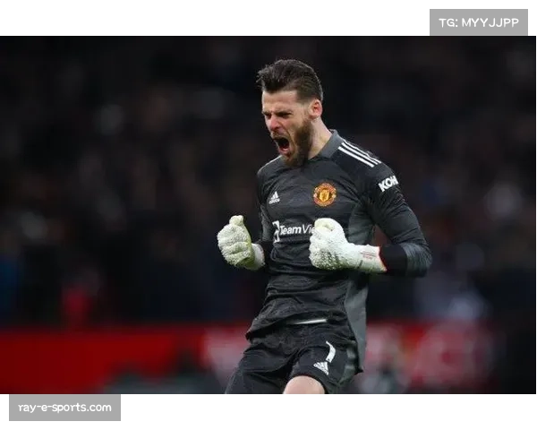 曼联门将位置表现稳定 德赫亚多次关键扑救力保球门